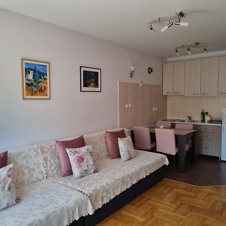 Studio Apartman Zvezdana Noc Vrnjacka Banja Bagian luar foto